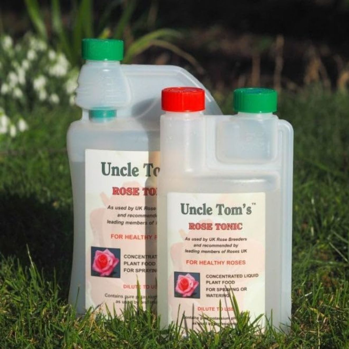 Uncle Tom's Rose Tonic