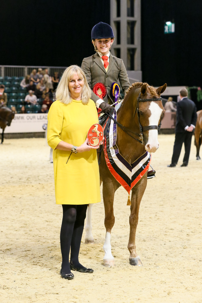 SFAS show hunter pony Pasha