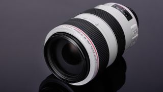 Canon EF 70-300mm f/4-5.6L IS USM review