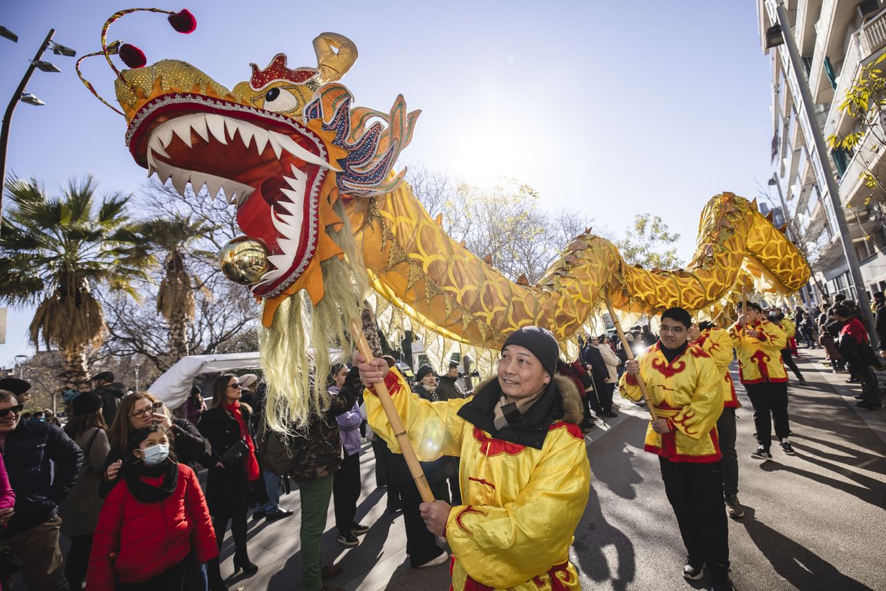 difference between chinese new year and new year