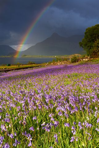 ©Scottish Landscape Photographer of the Year/Jeanie Lazenby