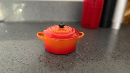 Testing the Le Creuset Petite Casserole Dish