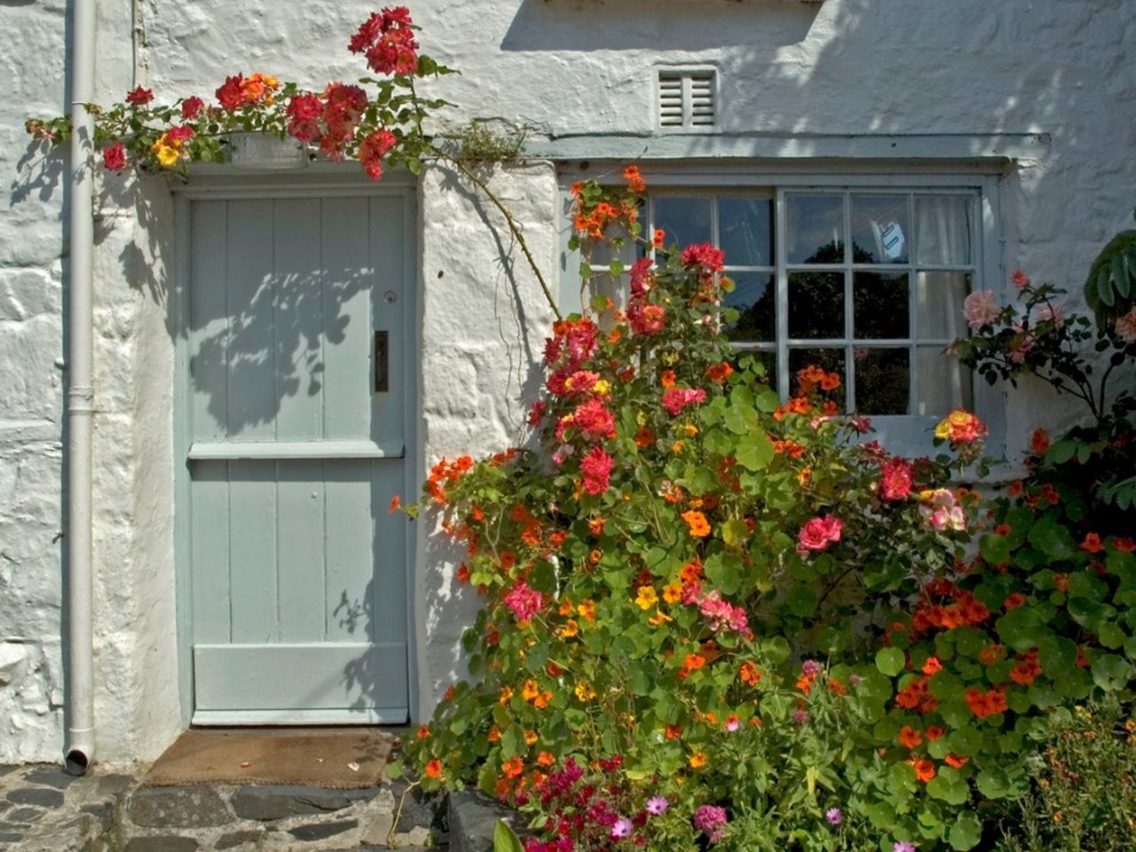 Flowering Plant Next To Entryway Of A House Arching Over The Front Door