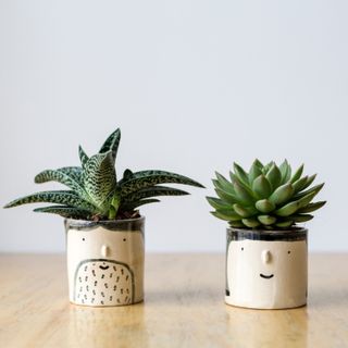 This pair of quirky planters are ideal to re-home a couple of desk plants in your studio