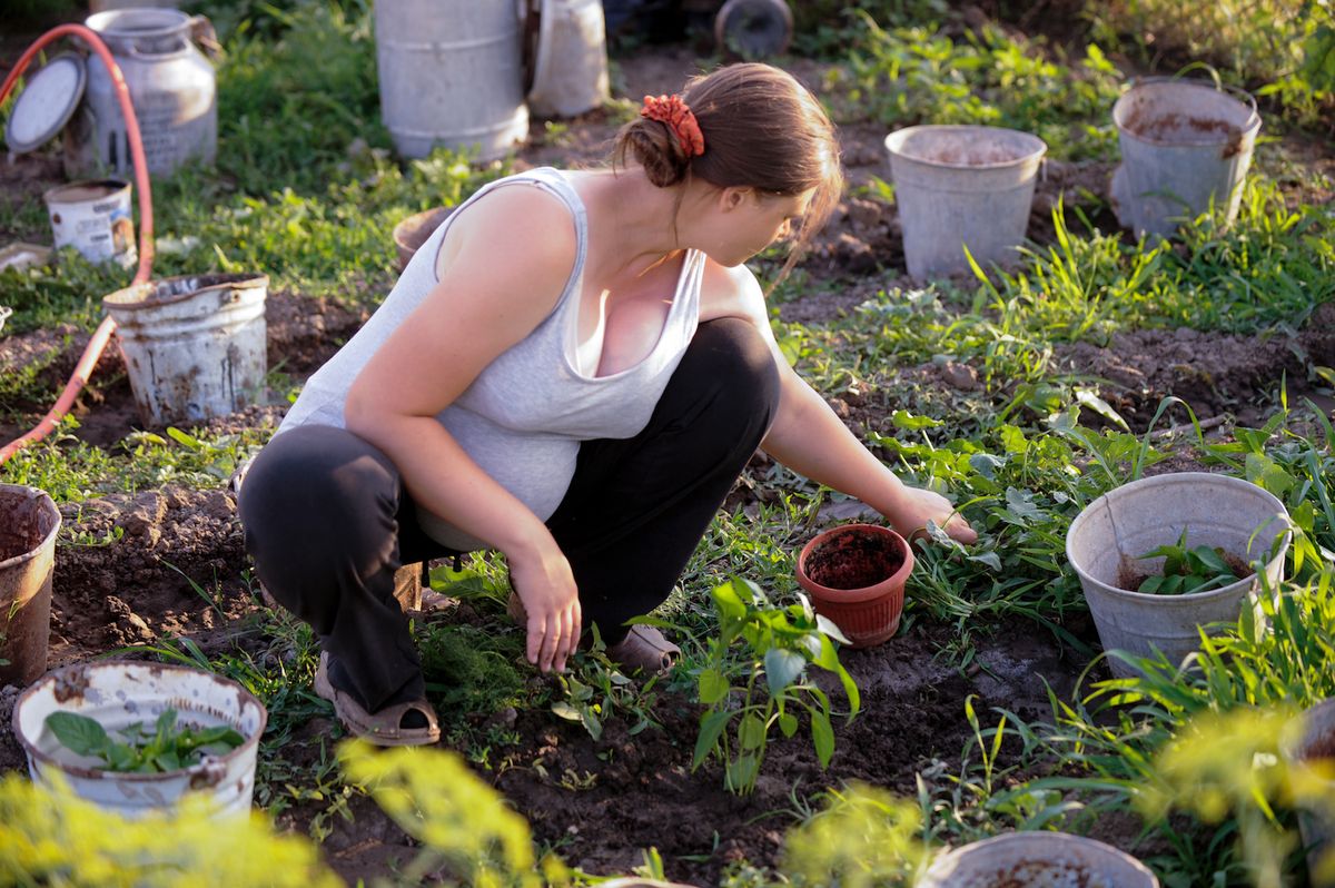 Pregnant woman in garden