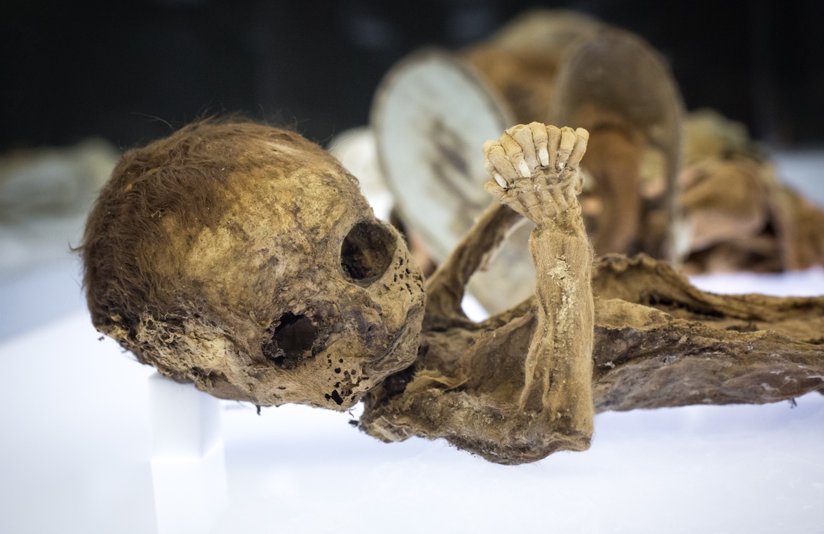 This mummified fetus was extracted from the Cemetery of San Jose in Granada.