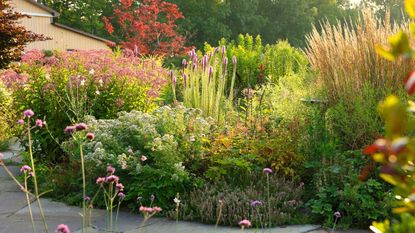 Flock Finger Lakes flower border