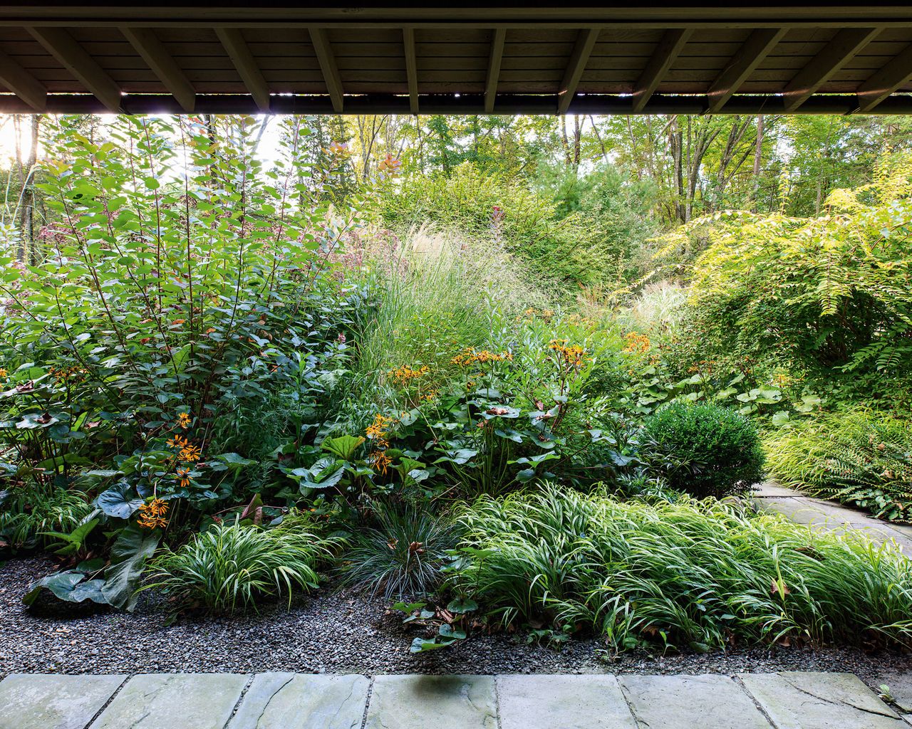 Dry Gardens Explained - 10 Expert Tips For A Lush Landscape 