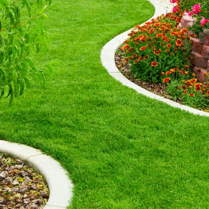 Lush lawn with border garden