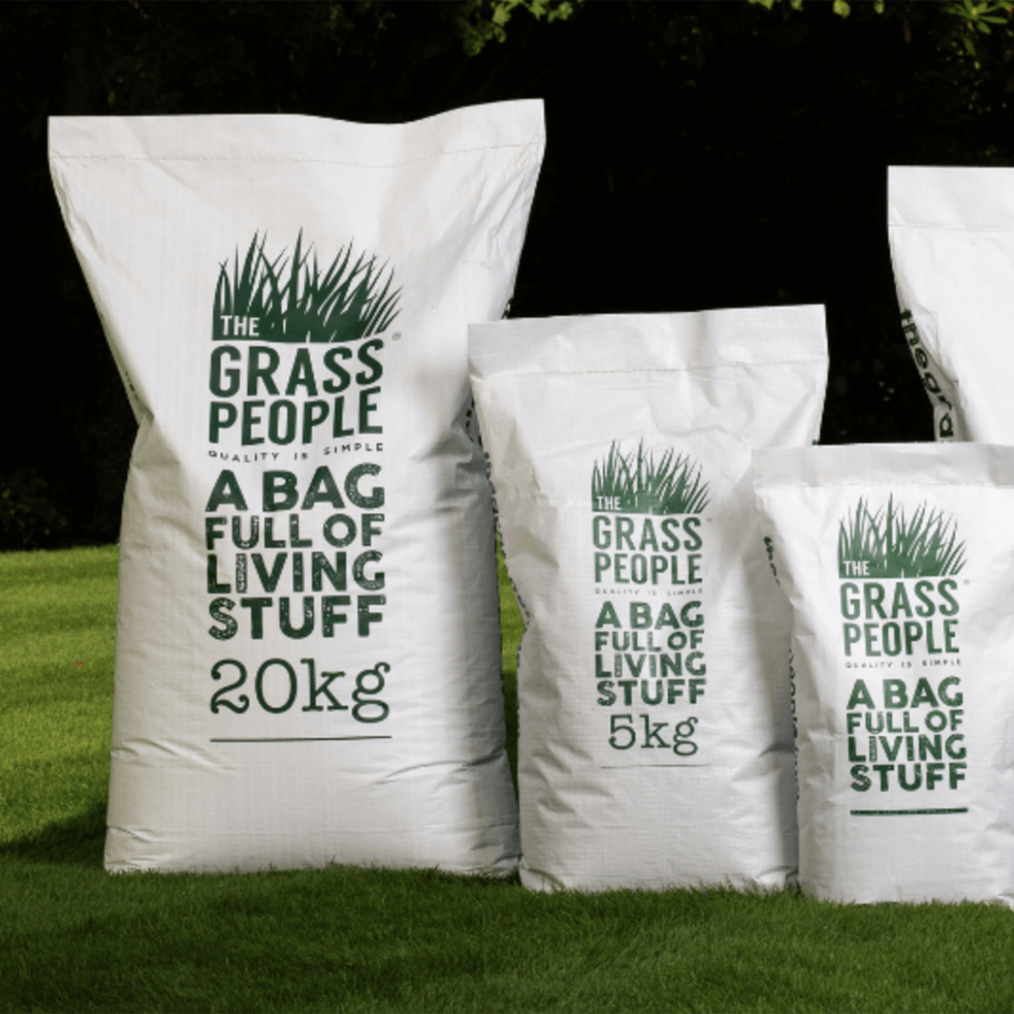 IMPRESS: Clay Master Lawn Seed