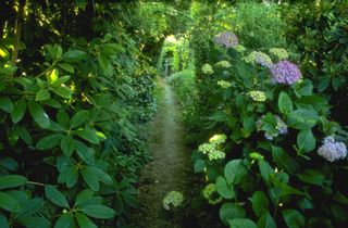 cottage garden path ideas: grassy and overgrown