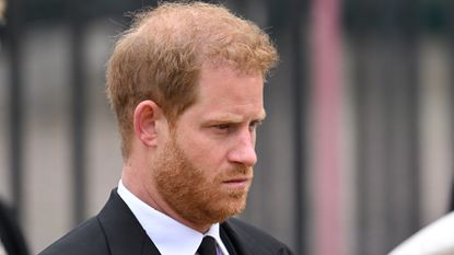Prince Harry has suggested he and Meghan were made to look like 'villains'