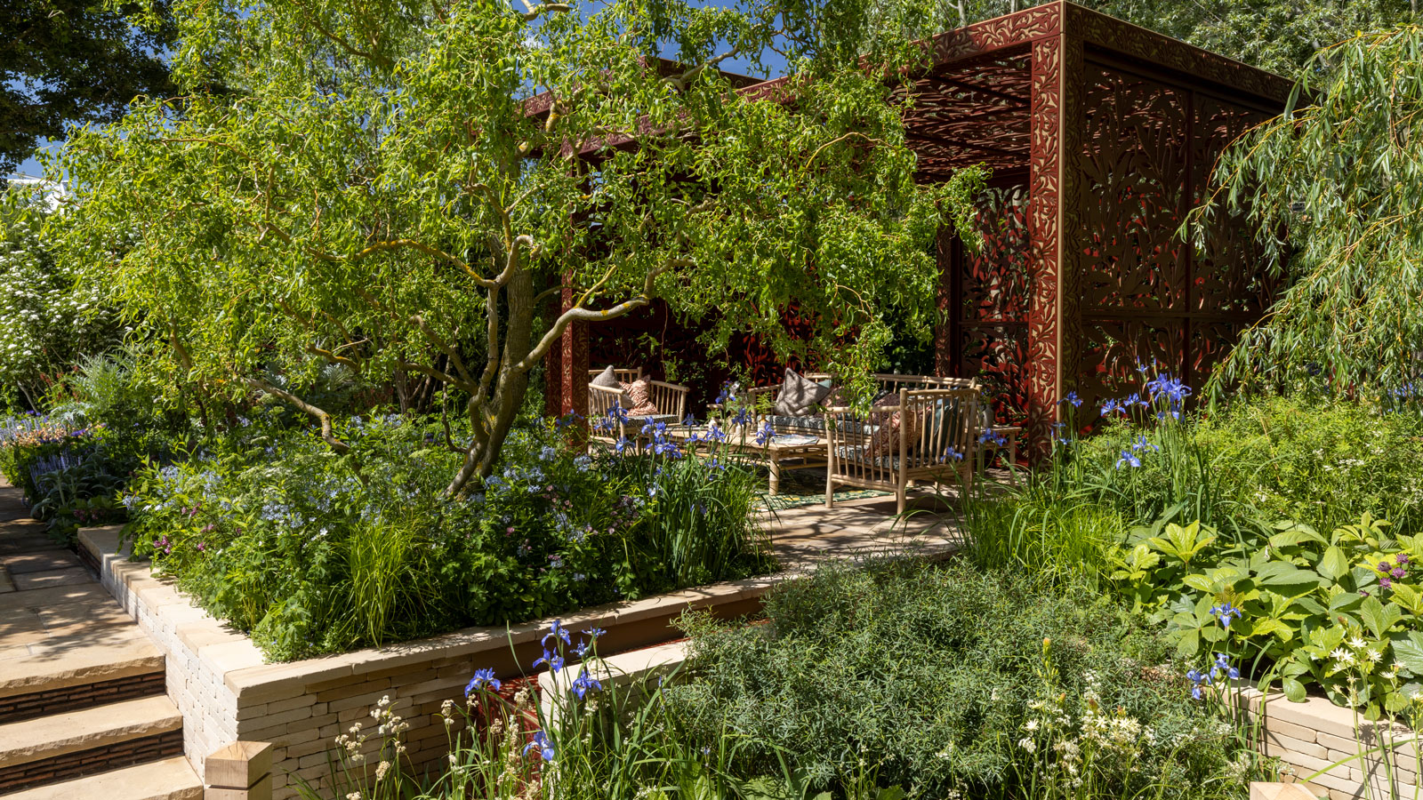 sloping garden design with pergola, flowerbeds, garden steps and planting including trees, shrubs and perennials