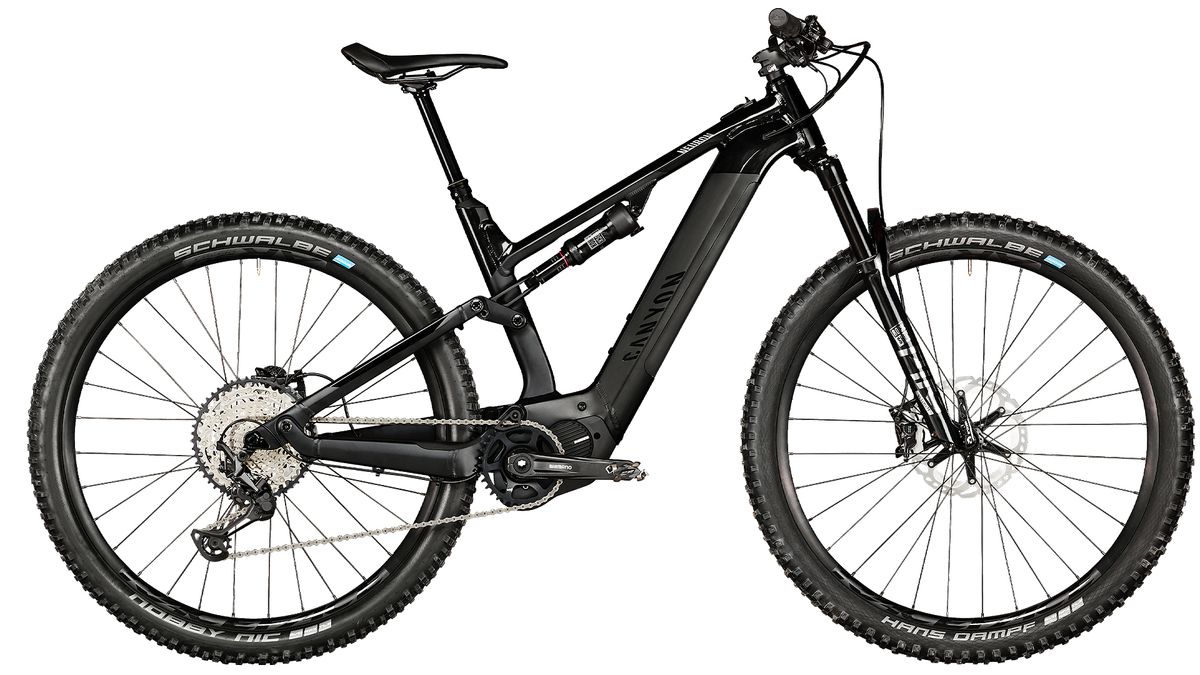 canyon e bike mtb