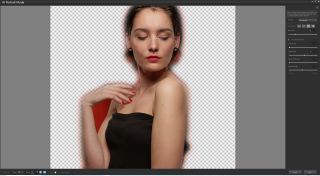 Screen shot of Corel Paintshop Pro Portrait selection screen