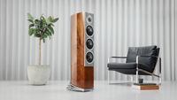 Audiovector R5 Arret&eacute; floorstanders next to a chair and a potted plant 