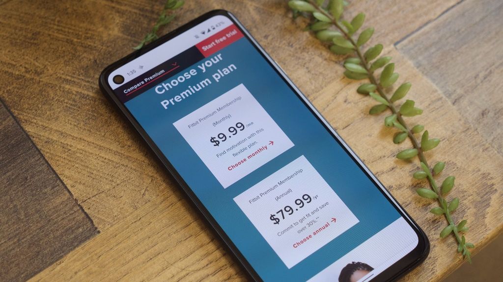 How to cancel Fitbit Premium | Android Central