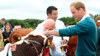 Prince William at the Anglesey show