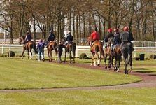 Great_Leighs_parade_ring.jpg