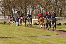 Great_Leighs_parade_ring.jpg
