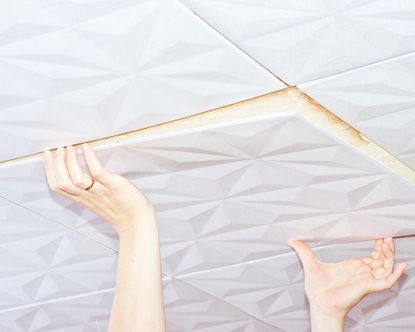 How to install ceiling tiles