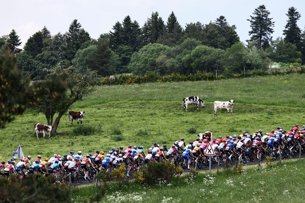 The views of stage 1 of the Crit&eacute;rium du Dauphin&eacute;