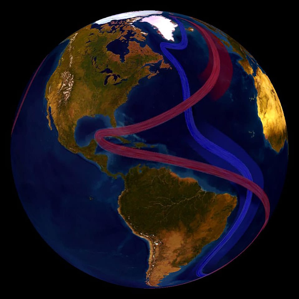 Illustration of the Earth demonstrating the movement of warm water and cold water.