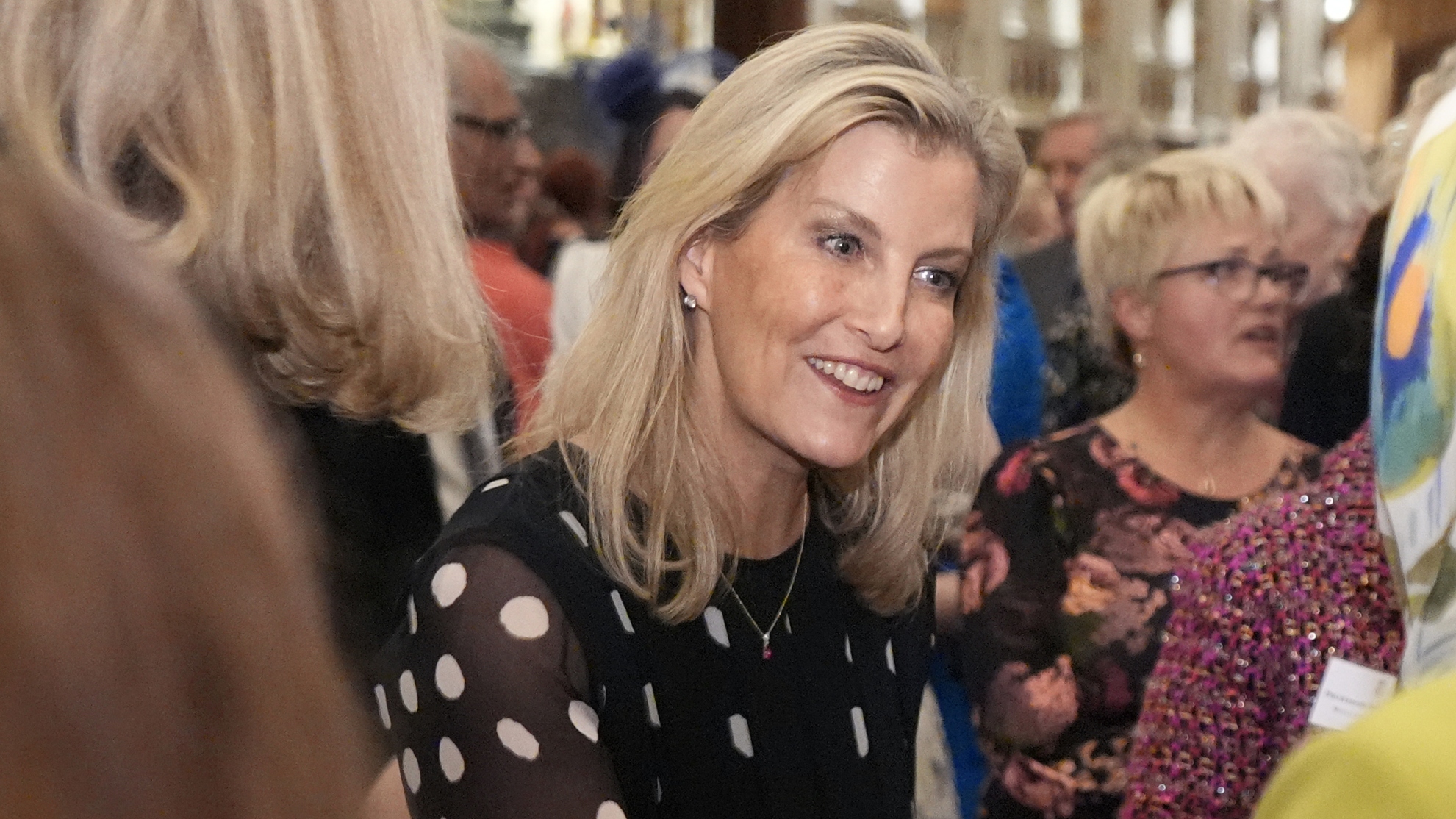Sophie, Duchess of Edinburgh speaks to guests during a reception to highlight the inspirational work of paid and unpaid carers at Windsor Castle on February 11, 2026