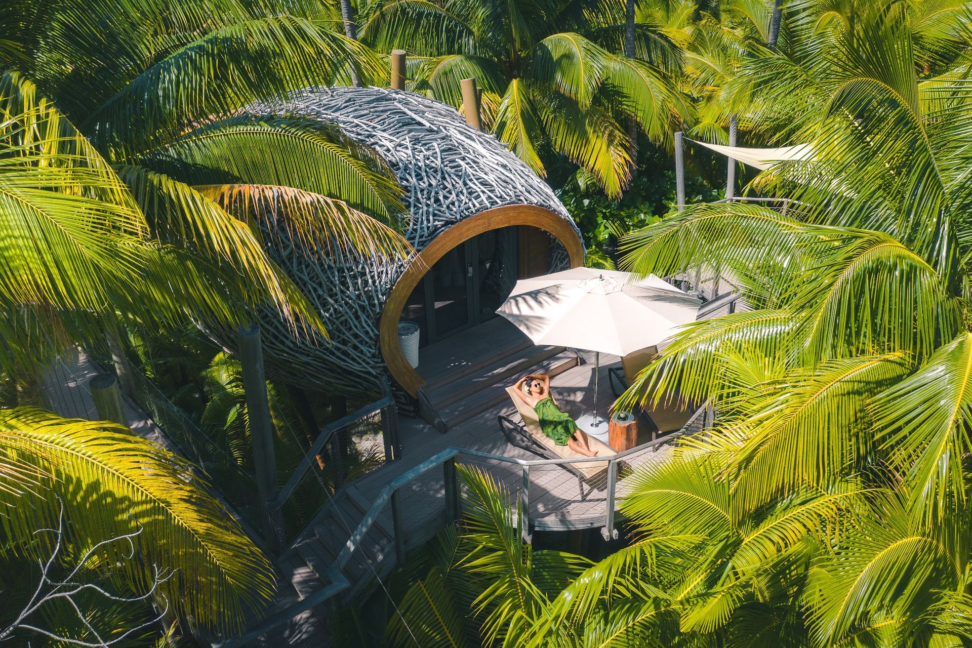Nest-like spa building surrounded by trees