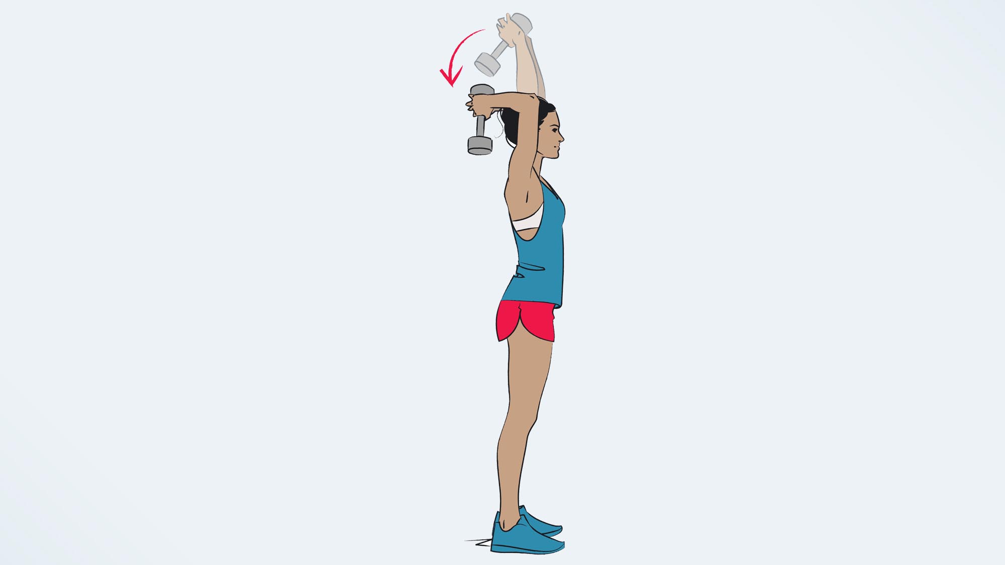 an illo of a woman doing a triceps extension