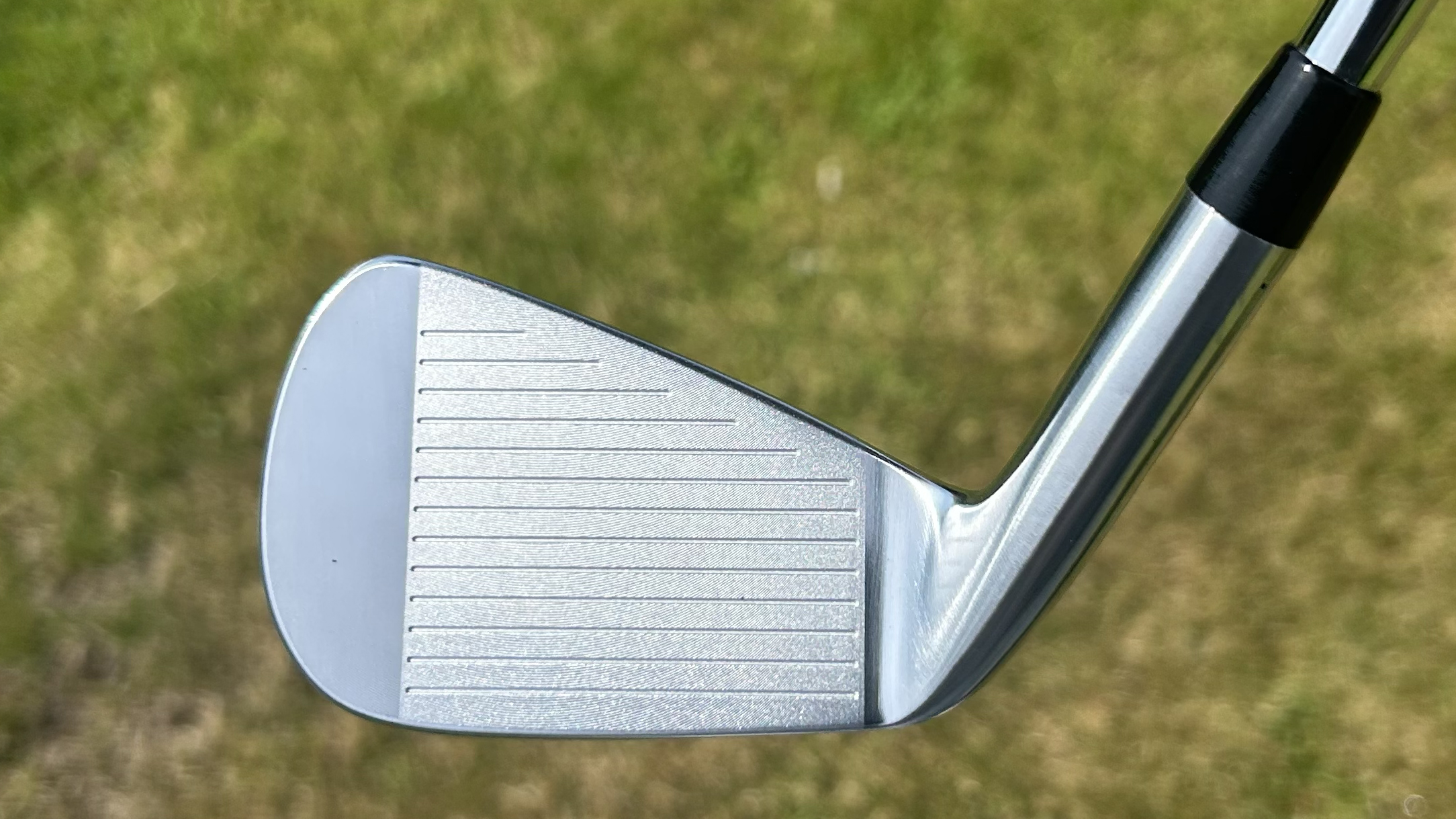 Photo of the Vega Mizar Pro Cavity Irons face