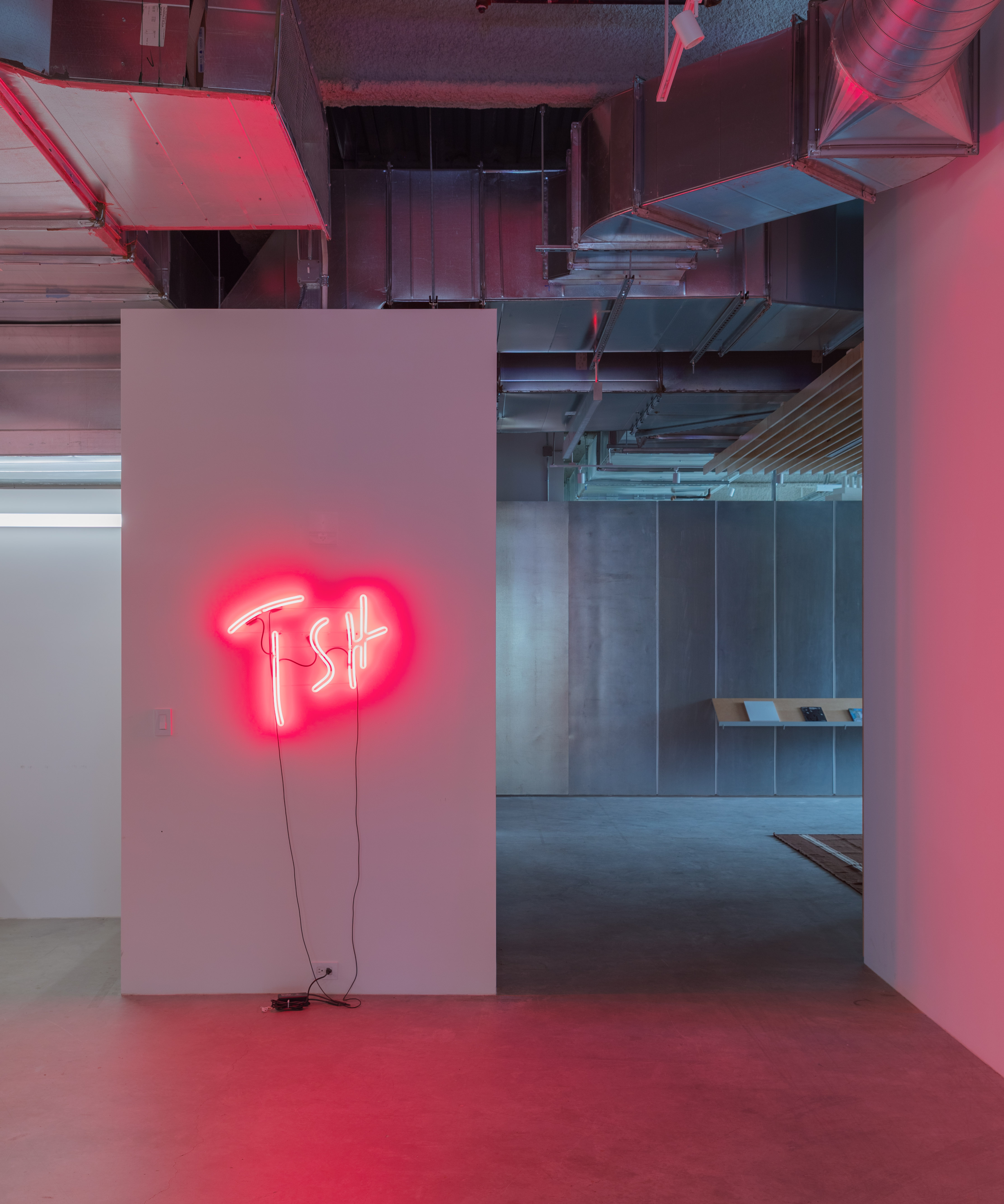 minimalist interior of artist Glenn Ligon's studio by Ravi Raj, with artworks and bespoke utilitarian furniture