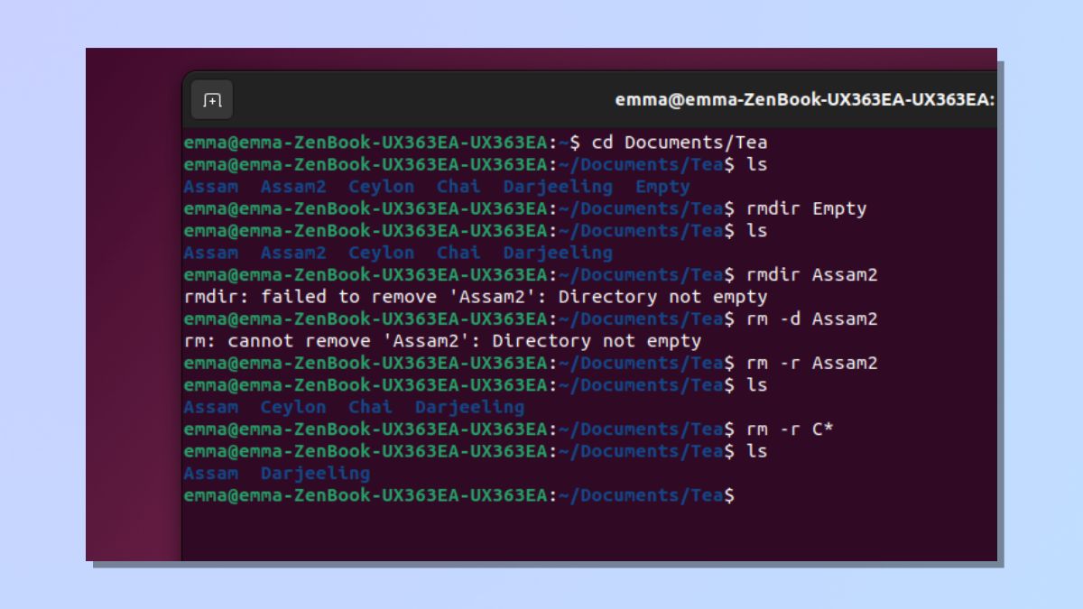 Снимок экрана, показывающий, как удалить каталоги в Linux с помощью подстановочных знаков