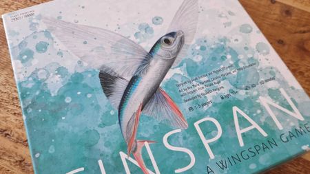 Finspan box with a flying fish at the center against a wooden background
