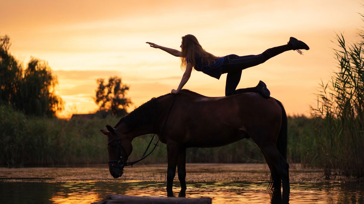 Silhouetted A Slender Girl Practicing Yoga On Horseback At Sunset The Horse  Stands In The Lake Care And Walk With The Horse Strength And Beauty Stock  Photo - Download Image Now - iStock