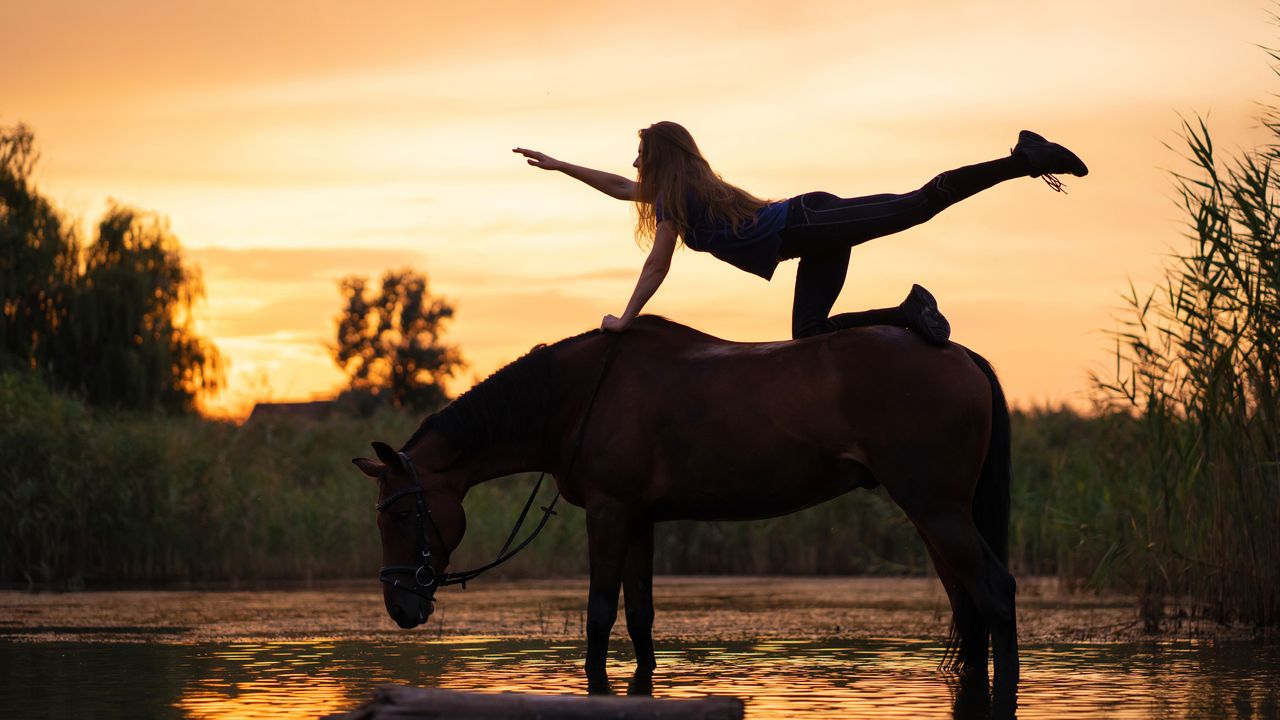 Horse yoga