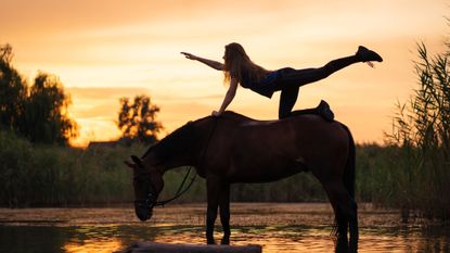 Horse yoga