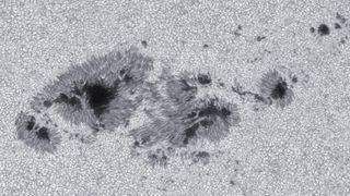 A black and white image of a large dark sunspot on the surface of the sun