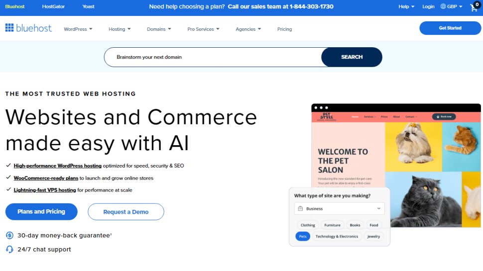 Website screenshot of Bluehost (September, 2025)