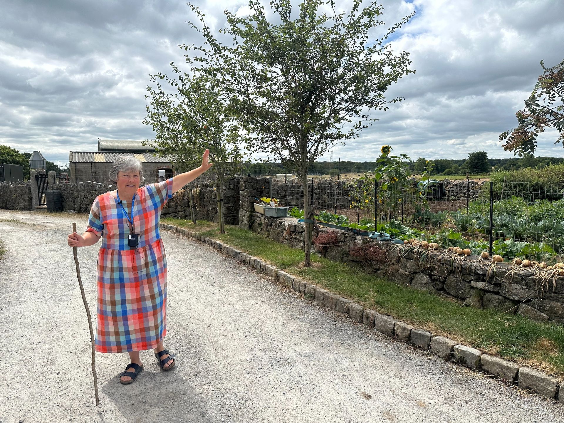 Caroline Rigney points to an area of her property at Rigney's Farm in Ireland