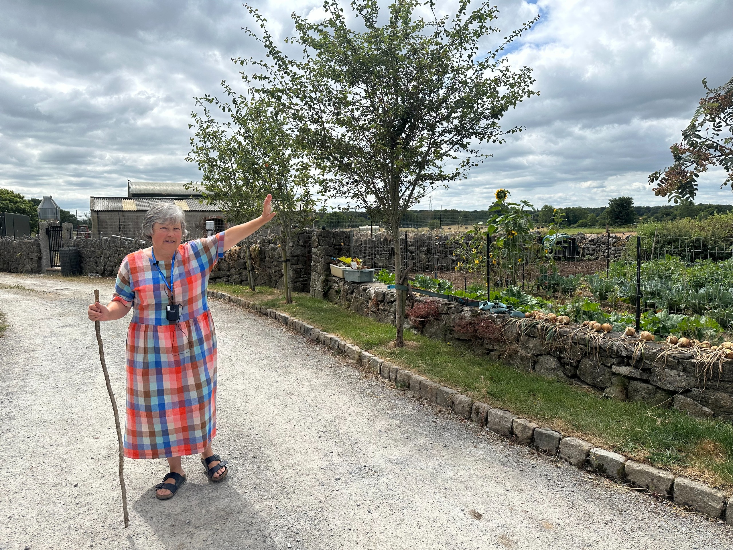 Caroline Rigney points to an area of her property at Rigney's Farm in Ireland