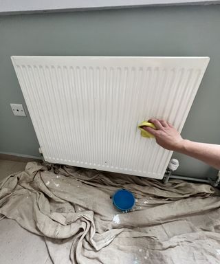 Hand cleaning white radiator with dust sheet