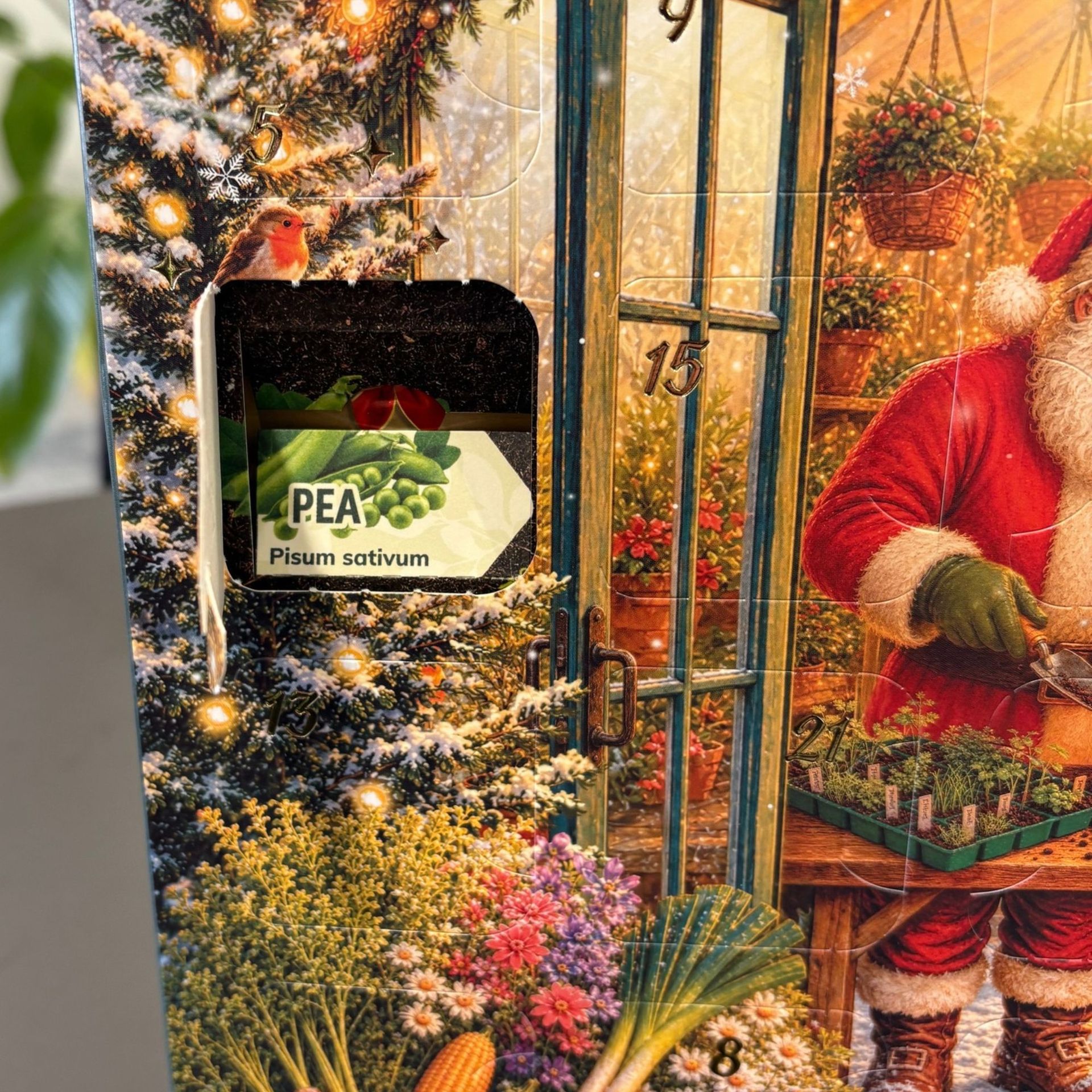B&Q Verve Shelter Seed Advent Calendar