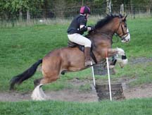 Hovis-Jumping-small.jpg