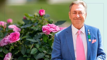 picture of pink roses in garden with a cut out image of alan titchmarsh layered over top