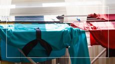  picture of airer in front of window with clothes on top of it