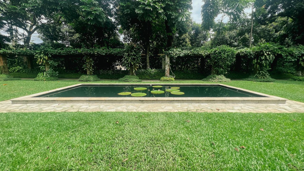 Example image of a path through a grassy field