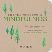 5. 'The Little Book of Mindfulness' by Anna Black