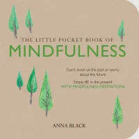 5. 'The Little Book of Mindfulness' by Anna Black