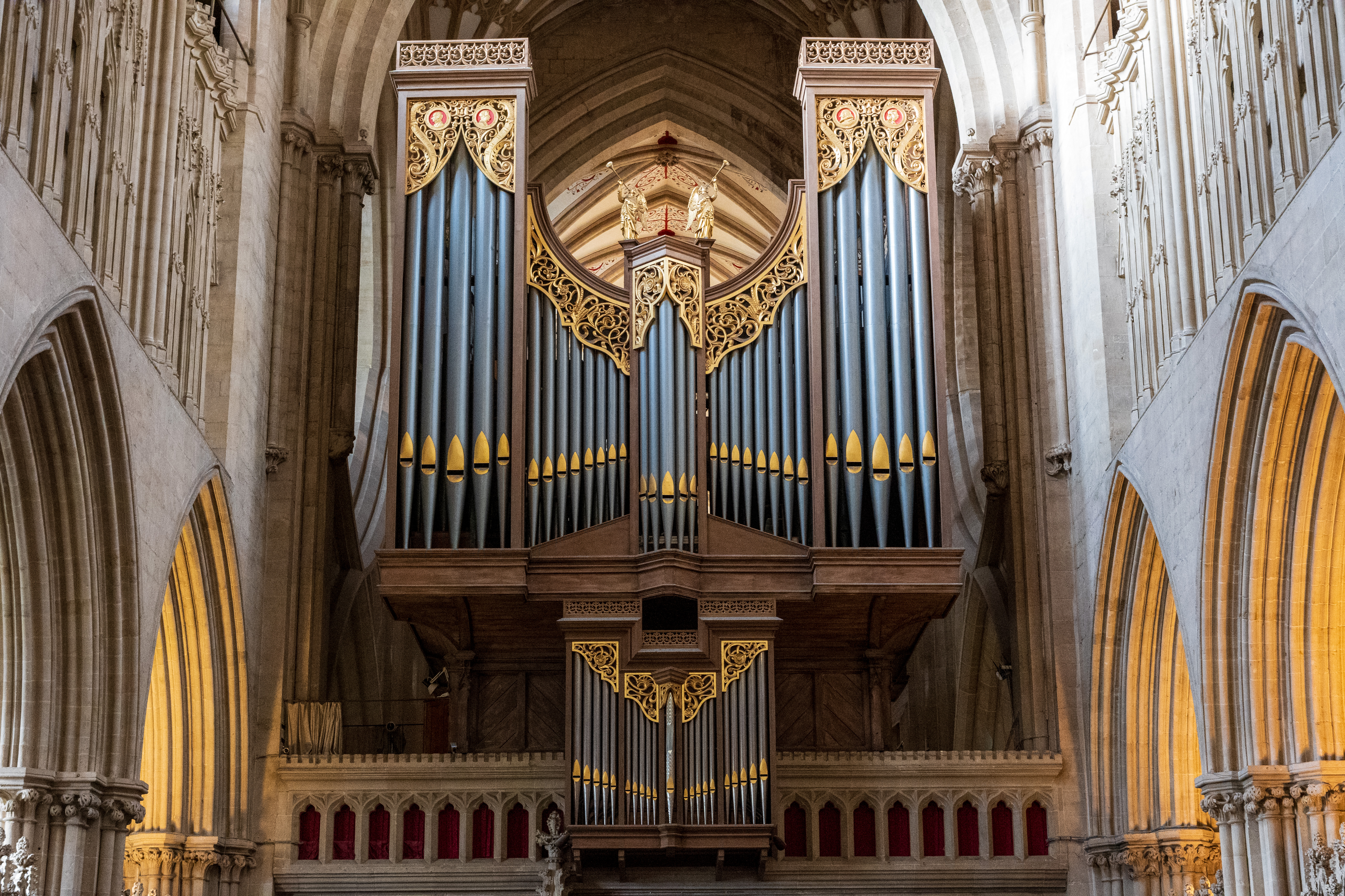 Nikon Z DX MC 35mm f/1.7 example shot